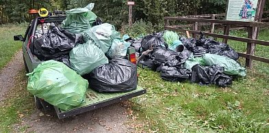 Czas na porządki w teresińskim lesie, w planie ogniskowa kiełbaska