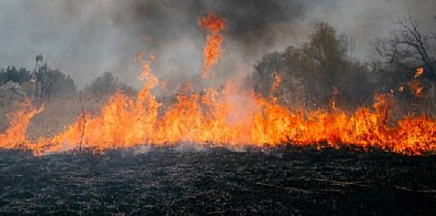 Strażacy o pożarze za szkołą. Ludzka nieodpowiedzialność i jej ofiary