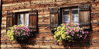 Wokół drewna. Pierwszy taki konkurs Mazowsza