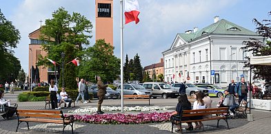 Święto Konstytucji 3 Maja w mieście z piknikiem