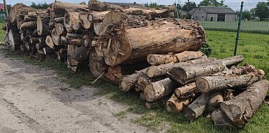 Drewno od CPK trafi do potrzebujących w Gminie Sochaczew