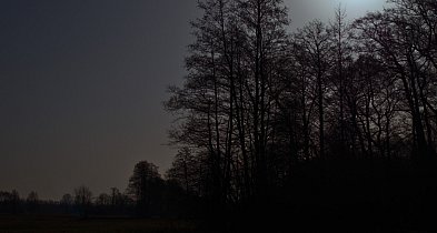 Ten spacer po KPN mógł skończyć się tragicznie, park apeluje-88751