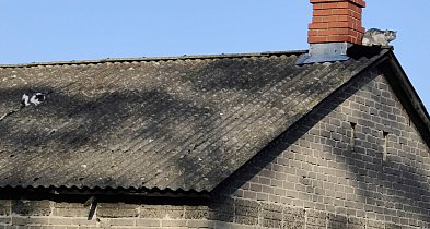 Pół na pół: azbest w Sochaczewie wciąż w grze-89253