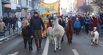 Sochaczewianie radośnie w orszaku za Trzema Królami-90469