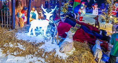 W gminie Iłów Trzej Królowie padli na ziemię przed Dzieciątkiem-90517