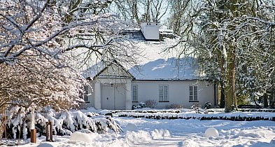 Zima w Parku w Żelazowej Woli: tu soli nie sypiemy-90754