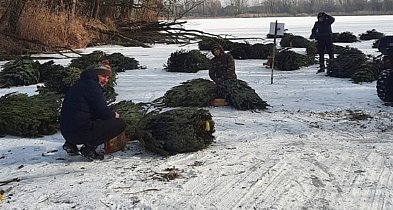 Zbudowali krześlisko nad Zalewem w Boryszewie