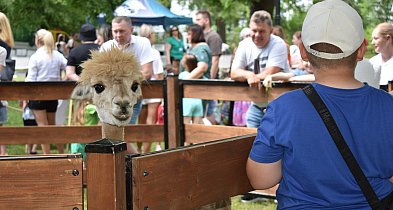 Kalendarz wiosenno-letnich imprez ratusza