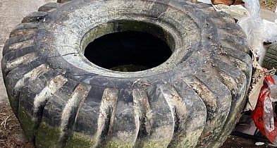 Znaleźli wędkarze, odebrał Partner, a ratusz apeluje