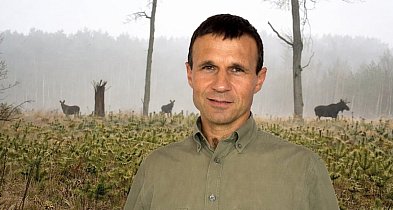 Inwentaryzacja zwierzyny w naszych lasach z jednym wnioskiem