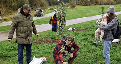 RośnieMY razem Sochaczew: będą nowe drzewa, wśród nich tulipanowce