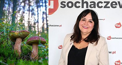 Nowość w Sanepidzie. Inspektor Fergińska: grzyby? To nasz sport narodowy