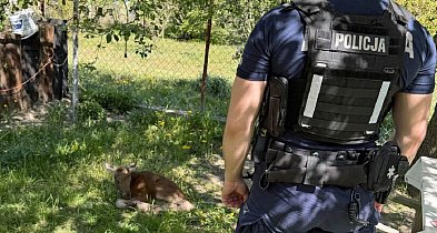 Niecodzienna sytuacja w gminie Sochaczew, pomogli policjanci