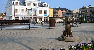 Pomnik Bonifacego na Placu Kościuszki, są powody