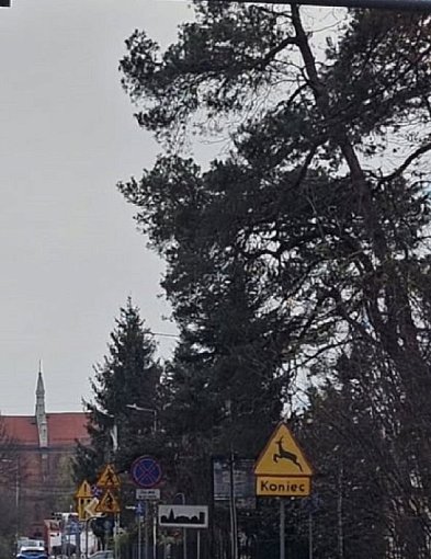 Rusza odcinkowy pomiar prędkości przy KPN-90039