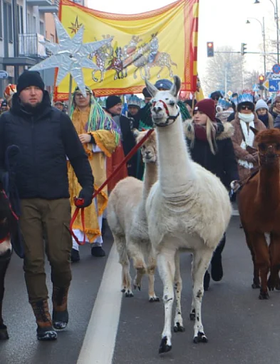 Sochaczewianie radośnie w orszaku za Trzema Królami-90469