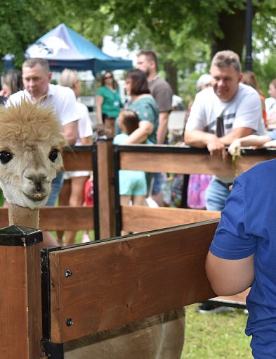 Kalendarz wiosenno-letnich imprez ratusza