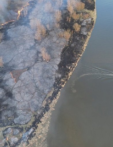 Niełatwa akcja strażaków na Wiśle w naszym powiecie