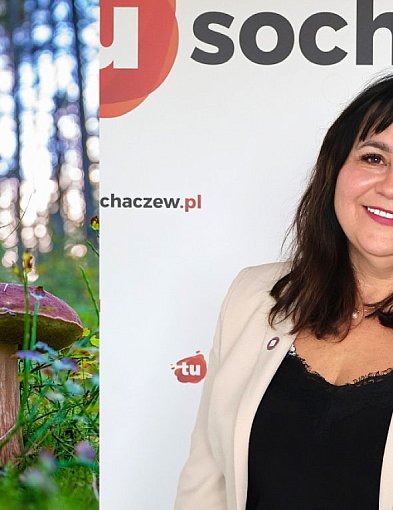Nowość w Sanepidzie. Inspektor Fergińska: grzyby? To nasz sport narodowy