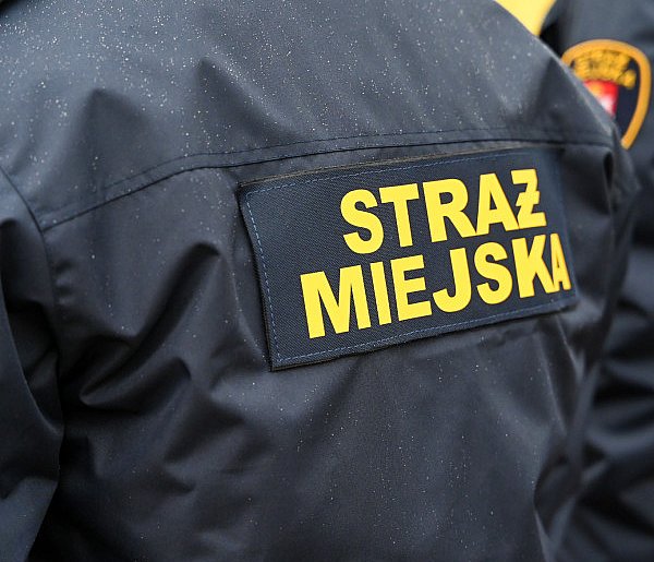 Zapuka strażnik, zapłacisz karę. Ruszyły kontrole w całej Polsce-87990