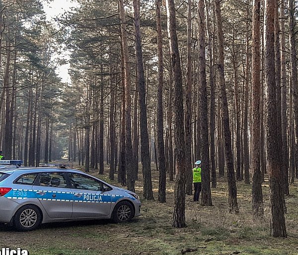 Grzybobranie w KPN zakończone akcją poszukiwawczą 77-latka-88640