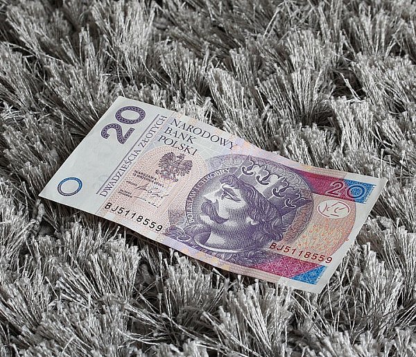 Nowy banknot o nominale 20 zł. Wchodzi do obiegu w tym tygodniu-88648