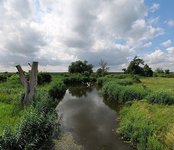 Co dalej z nowym parkiem narodowym? Minister klimatu zdradza plan po wecie-88852
