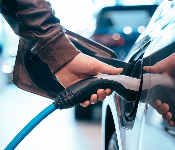 Coraz częściej dochodzi do takich kradzieży. Powody zaskakują-90897