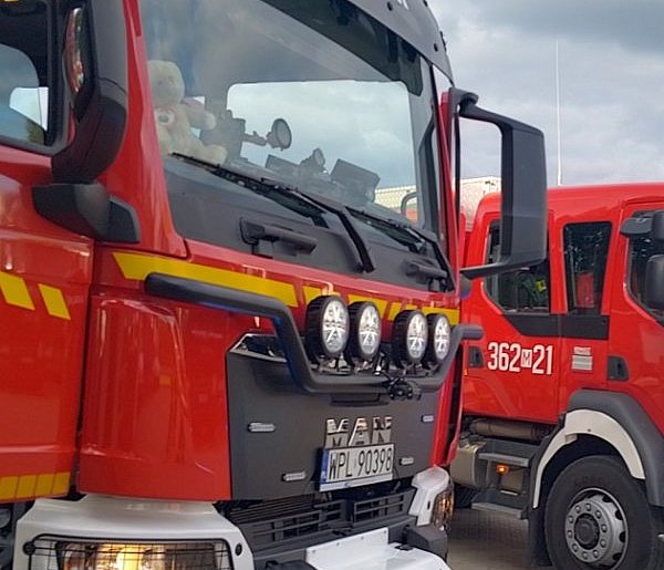 Popularna wiata na Plaży Patelnia w Grabinie w ogniu