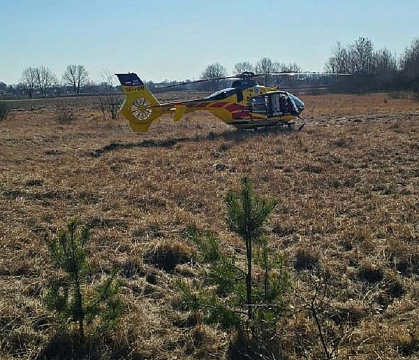 Wypadek przy wycince, pożary i zdarzenie drogowe: trudny dzień dla straży