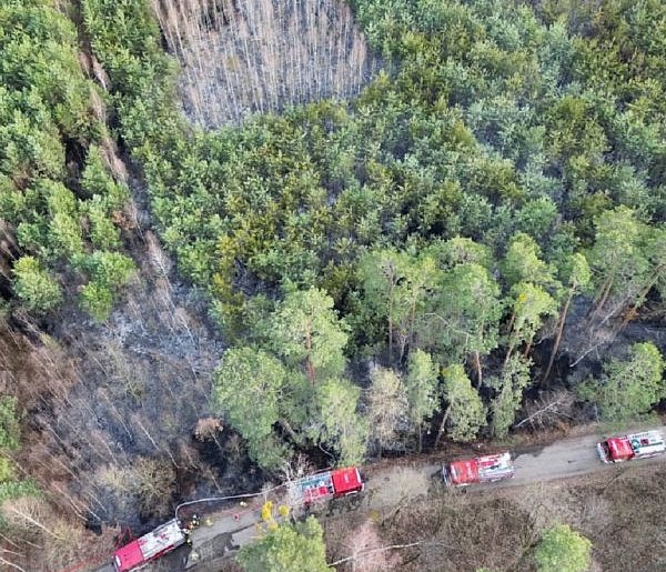 KP PSP Sochaczew: sześć pożarów w jeden dzień, ogień strawił 1,5 ha lasu [FOTO]