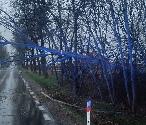 Pożary i powalone drzewa: wielkanocne interwencje naszych strażaków