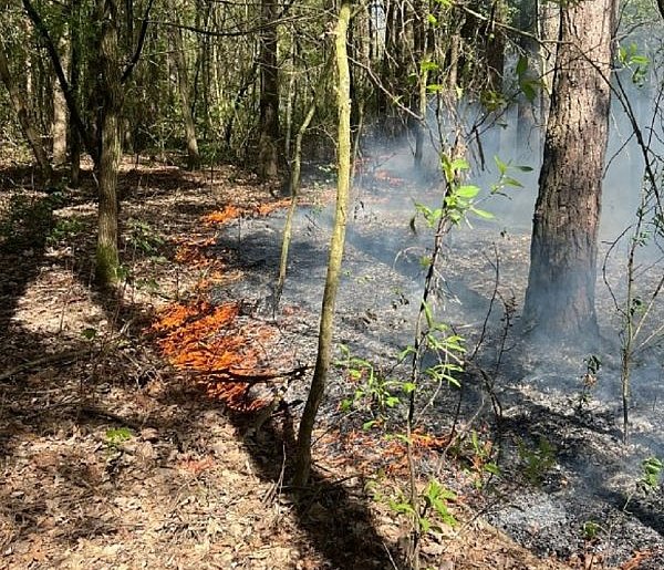 Podejrzana seria pożarów w bliskiej odległości w Sochaczewie