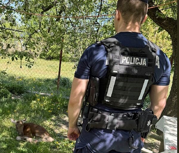 Niecodzienna sytuacja w gminie Sochaczew, pomogli policjanci