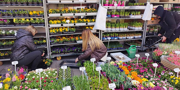 Wiosna? Ja już ją czuję, w ogródku pracuję – rozmawiamy z Sochaczewianami
