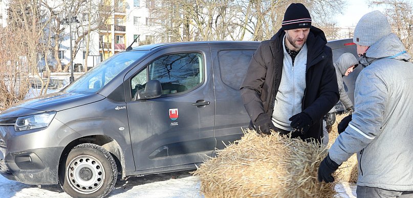 Na ratunek rybom w stawie Garbolewskiego