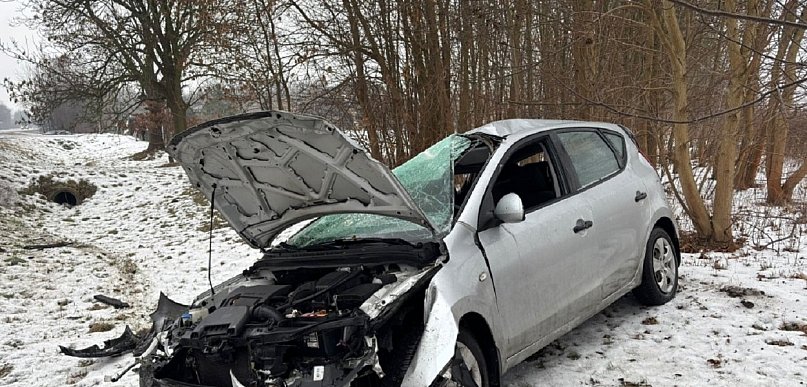 Dachowanie na Łowickiej