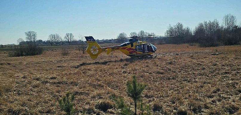 Wypadek przy wycince, pożary i zdarzenie drogowe: trudny dzień dla straży