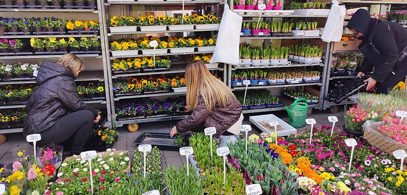 Wiosna? Ja już ją czuję, w ogródku pracuję – rozmawiamy z Sochaczewianami