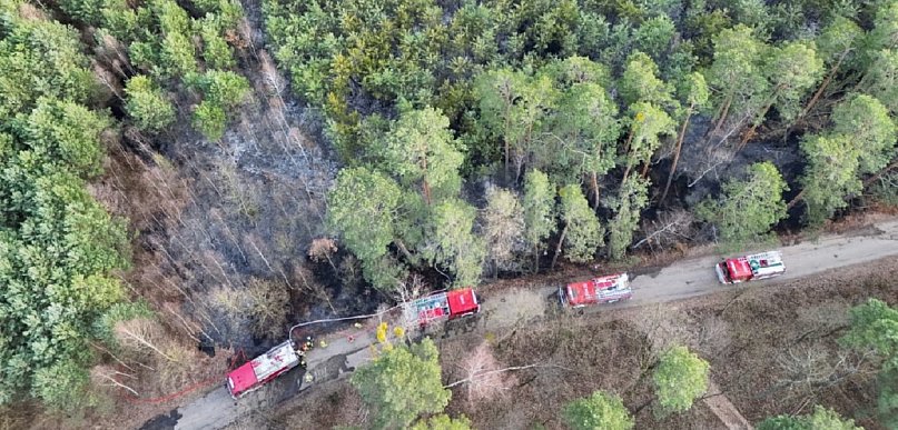 KP PSP Sochaczew: sześć pożarów w jeden dzień, ogień strawił 1,5 ha lasu [FOTO]