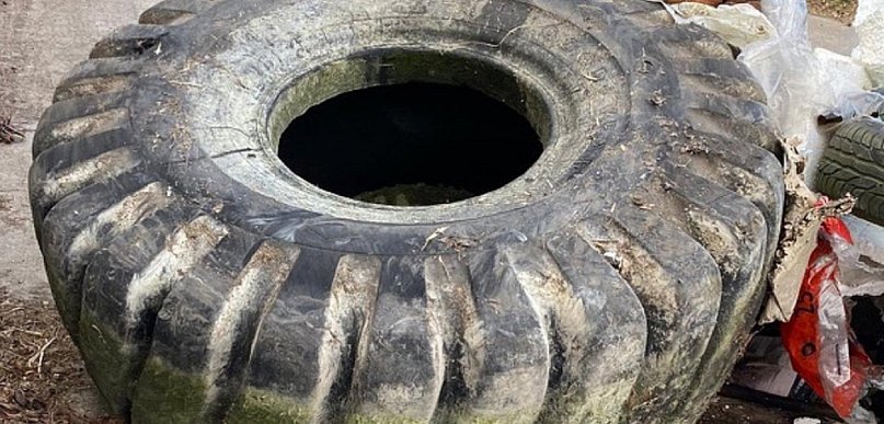 Znaleźli wędkarze, odebrał Partner, a ratusz apeluje