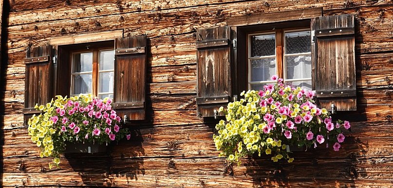 Wokół drewna. Pierwszy taki konkurs Mazowsza