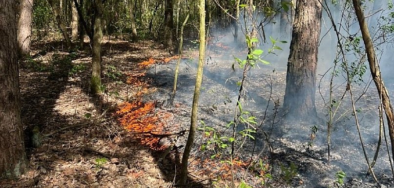 Podejrzana seria pożarów w bliskiej odległości w Sochaczewie