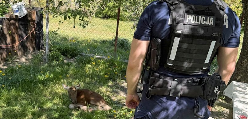 Niecodzienna sytuacja w gminie Sochaczew, pomogli policjanci