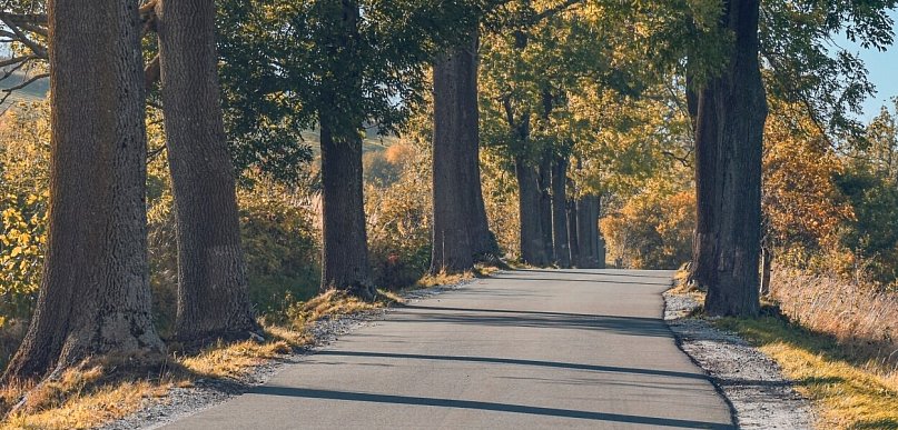 1,5 mln zł na przebudowę kolejnego odcinka drogi powiatowej