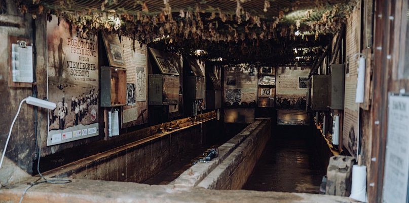 Izby pamięci w sochaczewskich schronach polecają się do zwiedzania - 88592