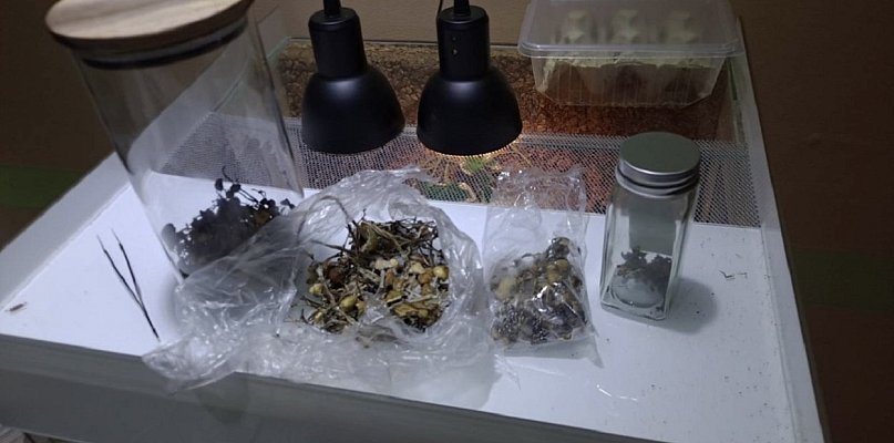 Policja Sochaczew: marihuana w pojemniku, a grzybki na suszarce i w lodówce - 89045