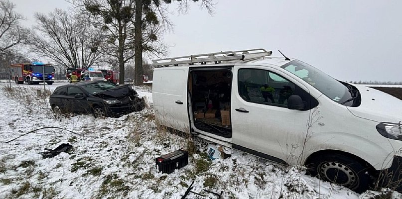 Uderzył w tył auta stojącego na poboczu, wypadek w Ludwikowie - 89232