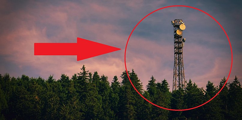 Nadleśnictwo Radziwiłłów: z tej wieży widać wszystko, są efekty