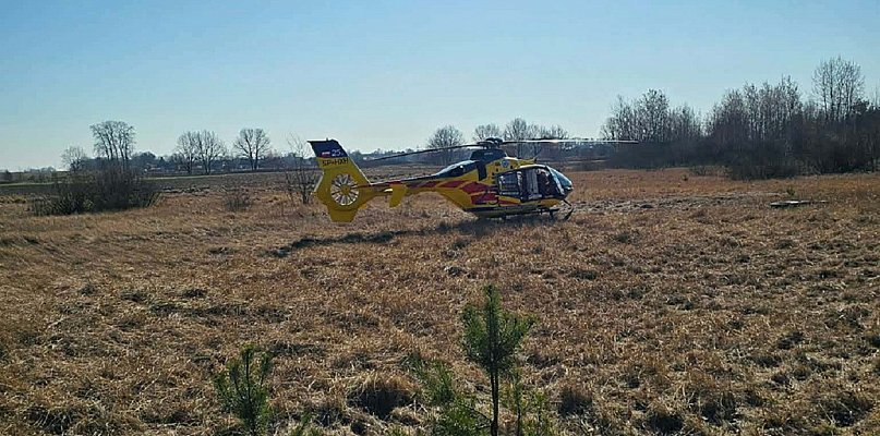 Wypadek przy wycince, pożary i zdarzenie drogowe: trudny dzień dla straży